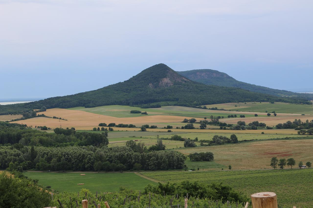 Villa Tolnay Vendégház Gyulakeszi Exterior foto
