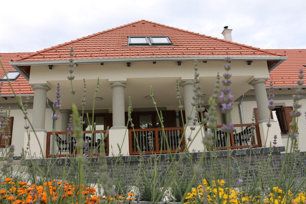 Villa Tolnay Vendégház Gyulakeszi Exterior foto